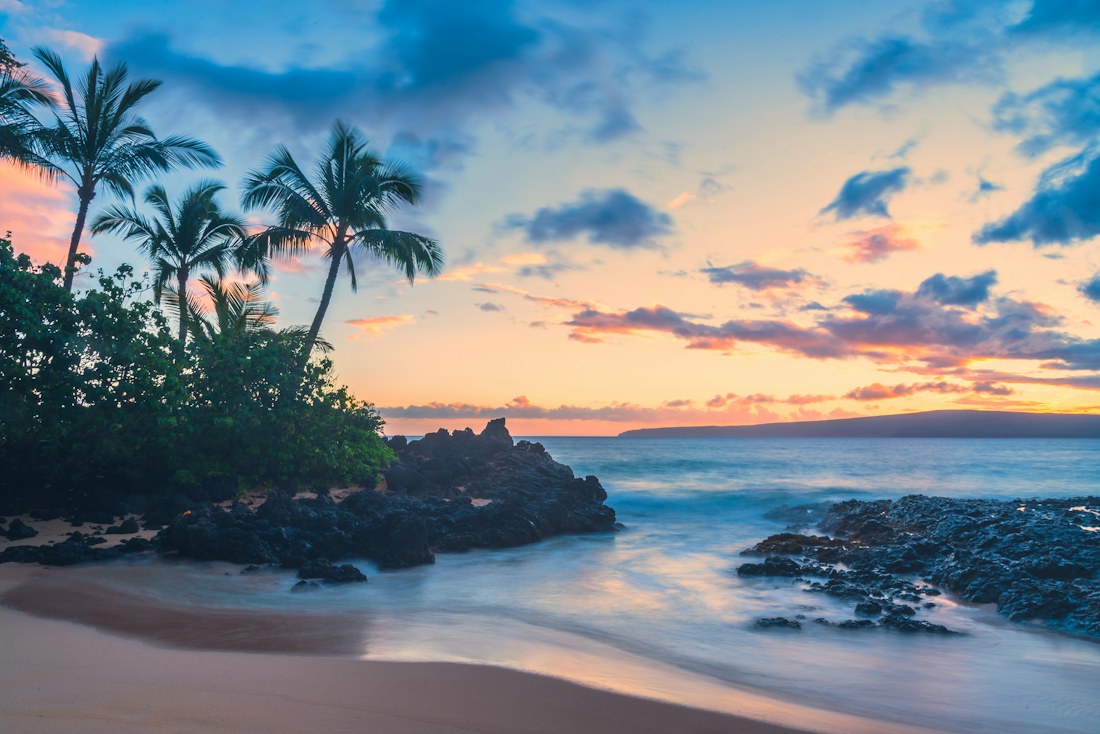 Palm trees and a rocky shoreline at sunset